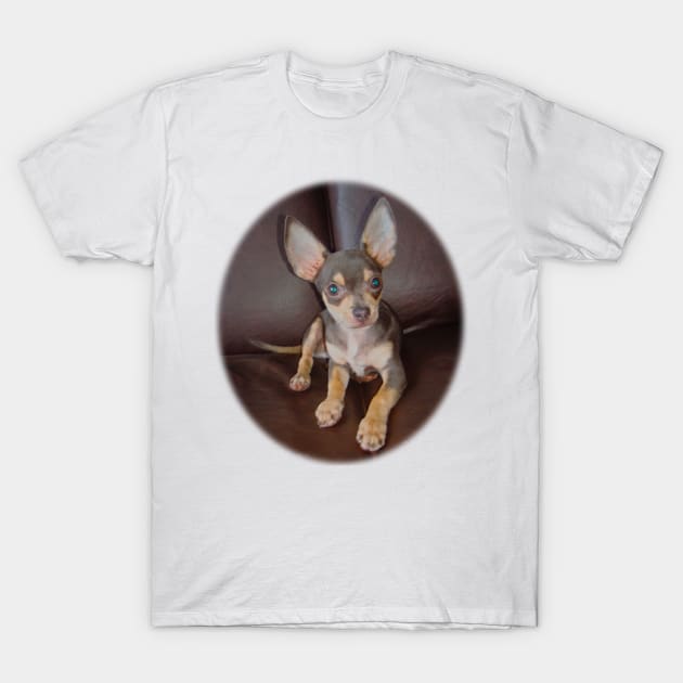 Cute teddy dog T-Shirt by Marccelus